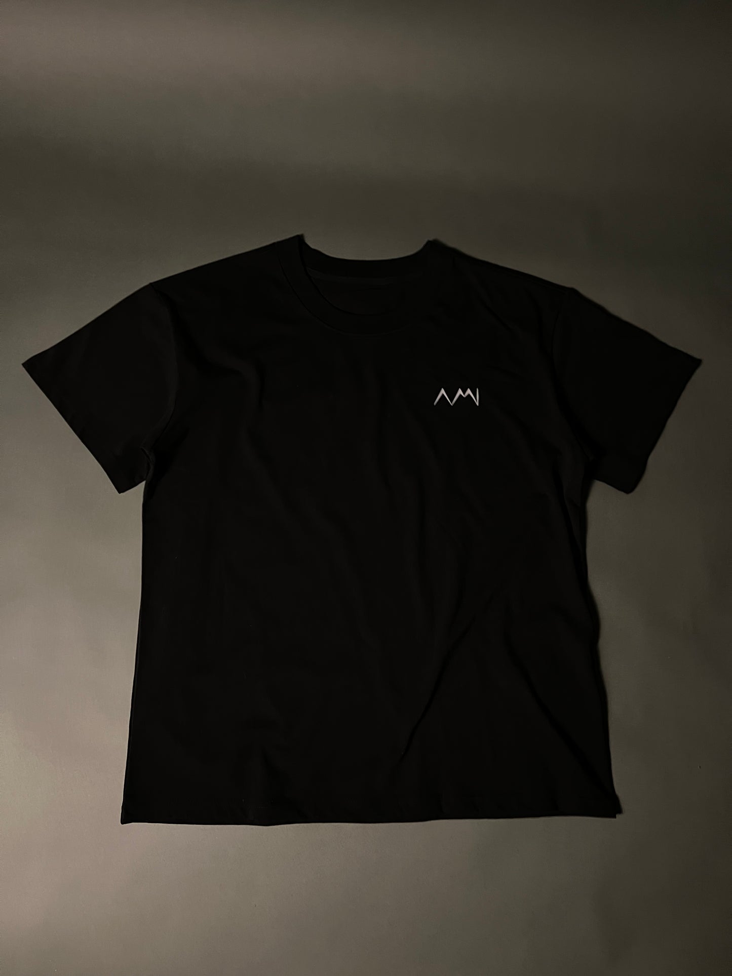 AMI "VERSE" Oversized